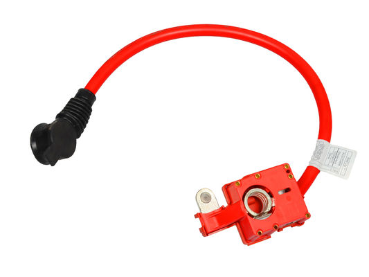 qualité  Red Auto Battery Cables Automotive Battery Cable OE:#61129217036 usine